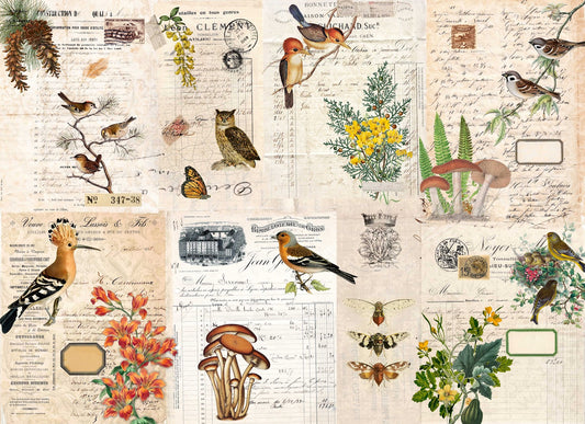 Fall Botanical Blocks