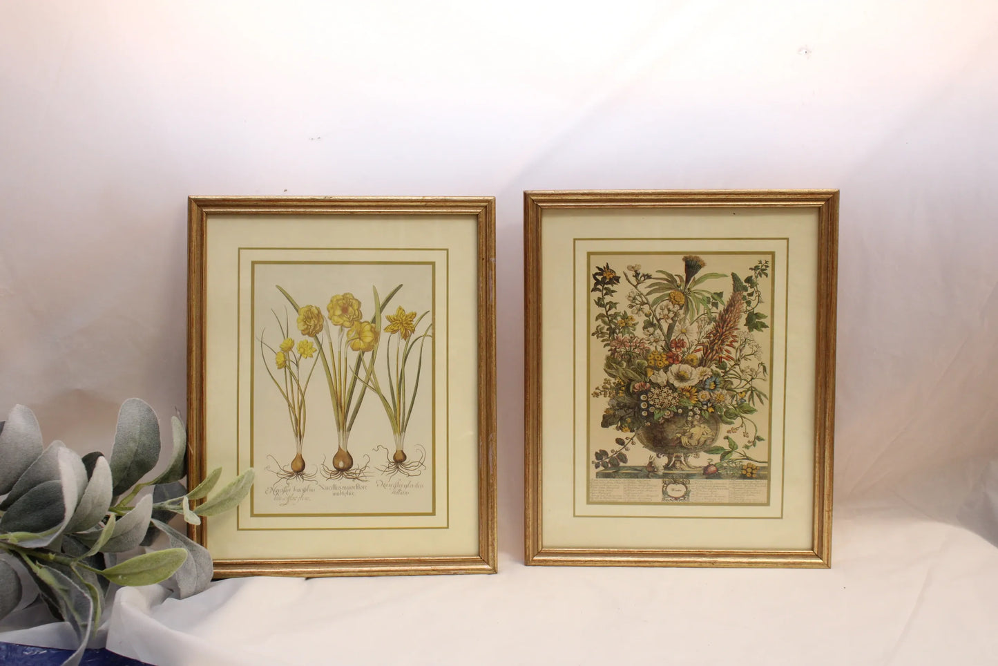 SOLD Botanial set