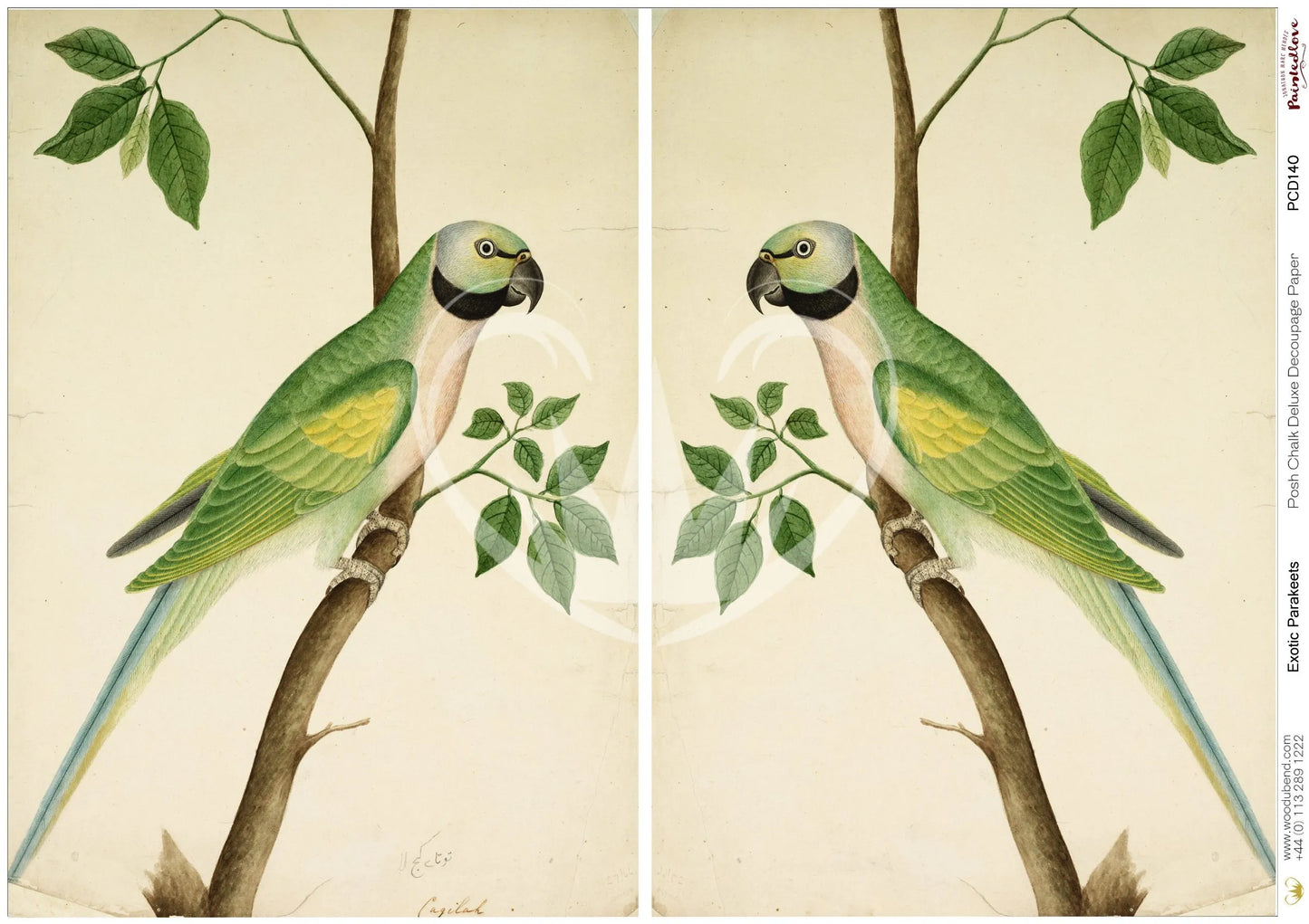 Exotic Parakeets A1 Posh Chalk Deluxe Decoupage from The House of Mendes