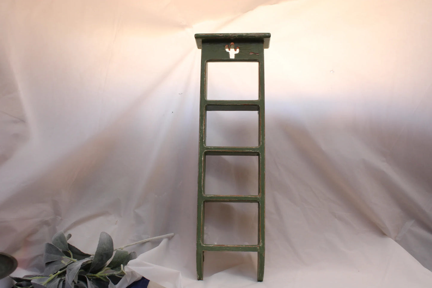 Ladder Wood with Cactus mini