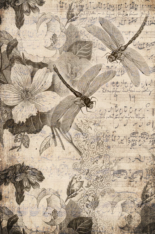 Musical Dragon Flies