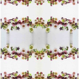 Arctic Bloom Border Decoupage Print