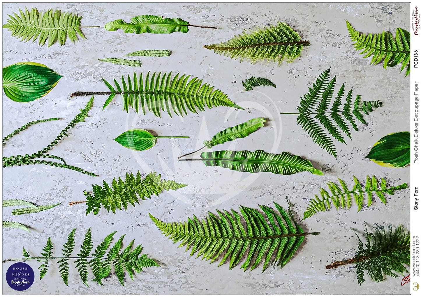 Stony Fern A1 Posh Chalk Deluxe Decoupage from The House of Mendes